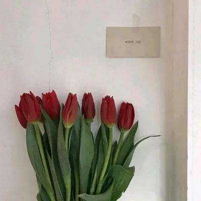 金博宝官网下载手机版